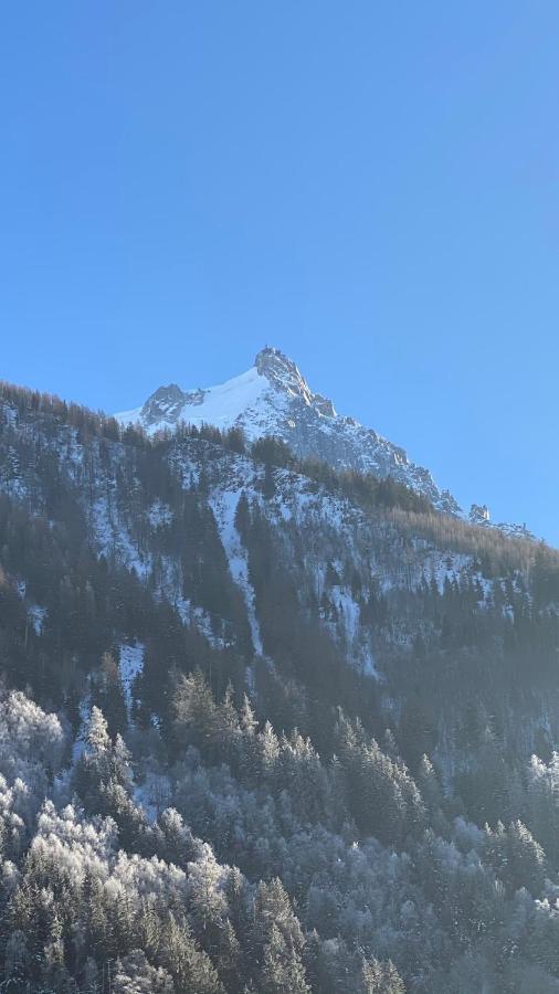 Appartement Chamois de Chamonix, Confortable 2 pièces, balcon, parking gratuit Extérieur photo